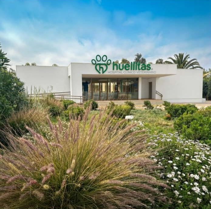 Hospital Veterinario Huellitas, Copiapó